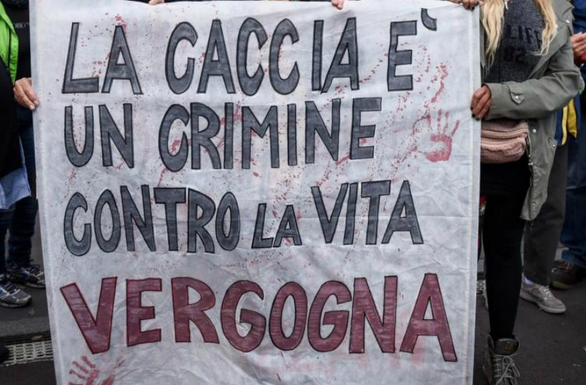 caccia - vergogna 697347013_1275796081394031_6813153372053093640_n - copia